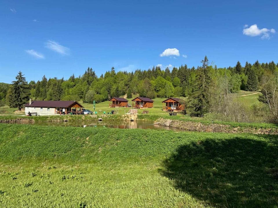 Cabane Areama Neagra Nature lodge in Romania