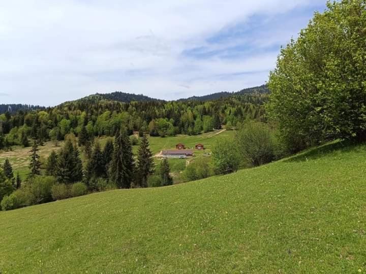 Cabane Areama Neagra Nature lodge in Romania