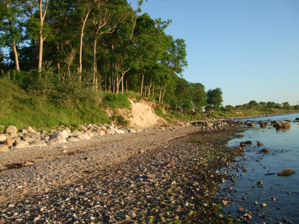 Natural landscape