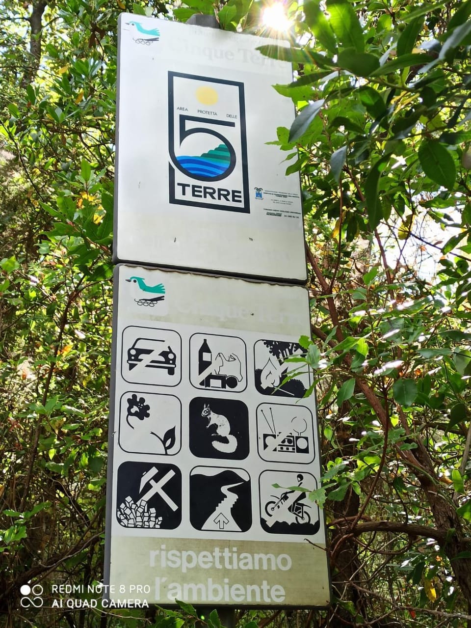 Logo/Certificate/Sign