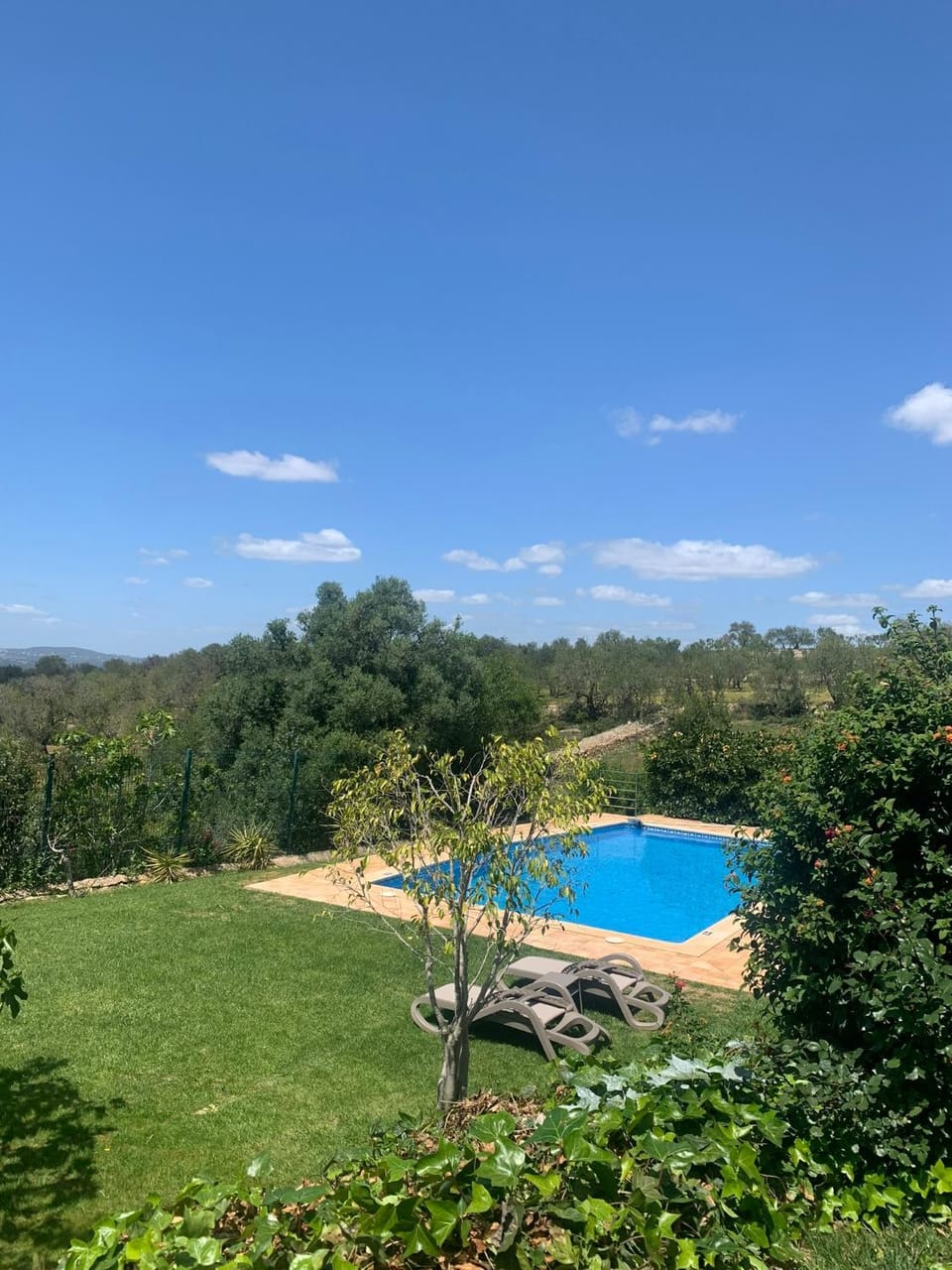 Garden view, Swimming pool