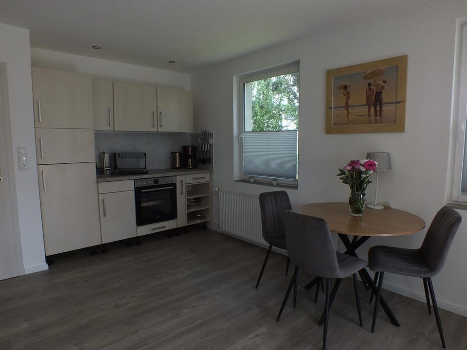 Kitchen or kitchenette, Dining area, oven, stove