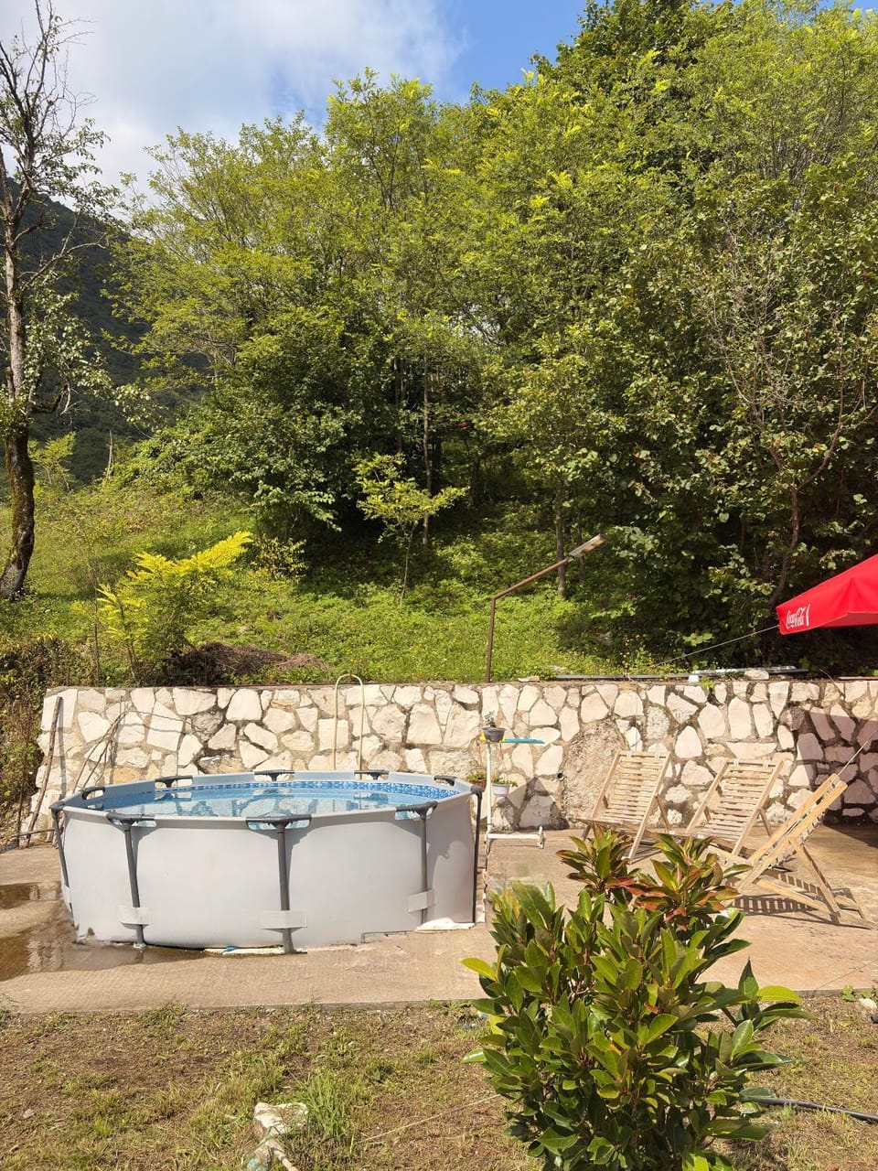Garden, Swimming pool