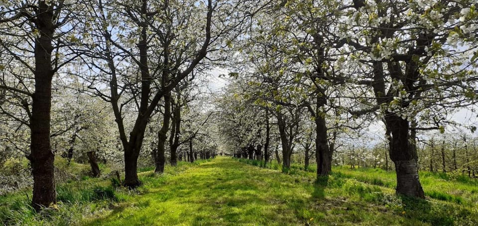 Natural landscape