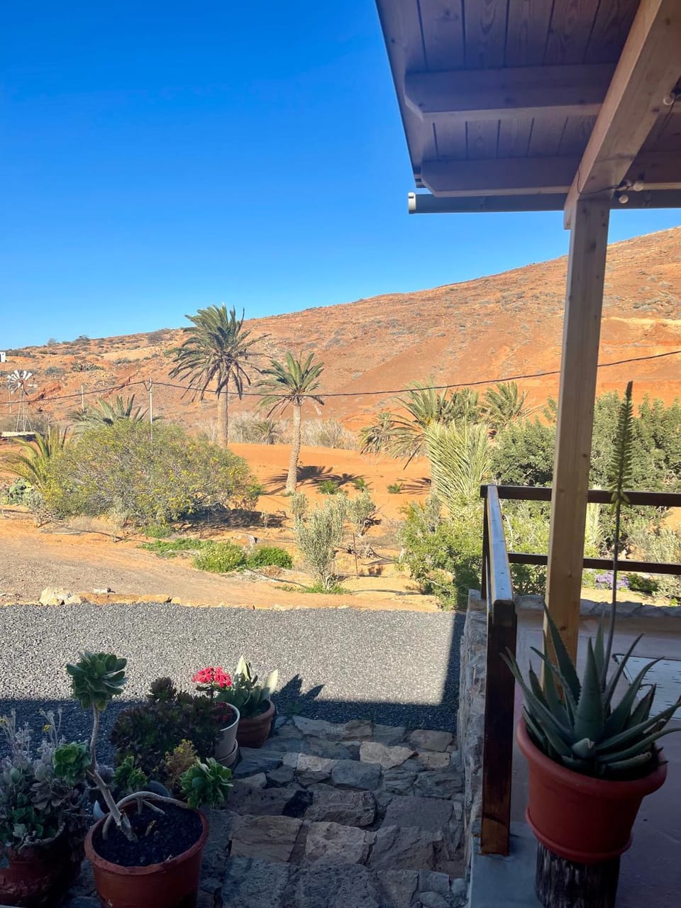 Patio, Garden view
