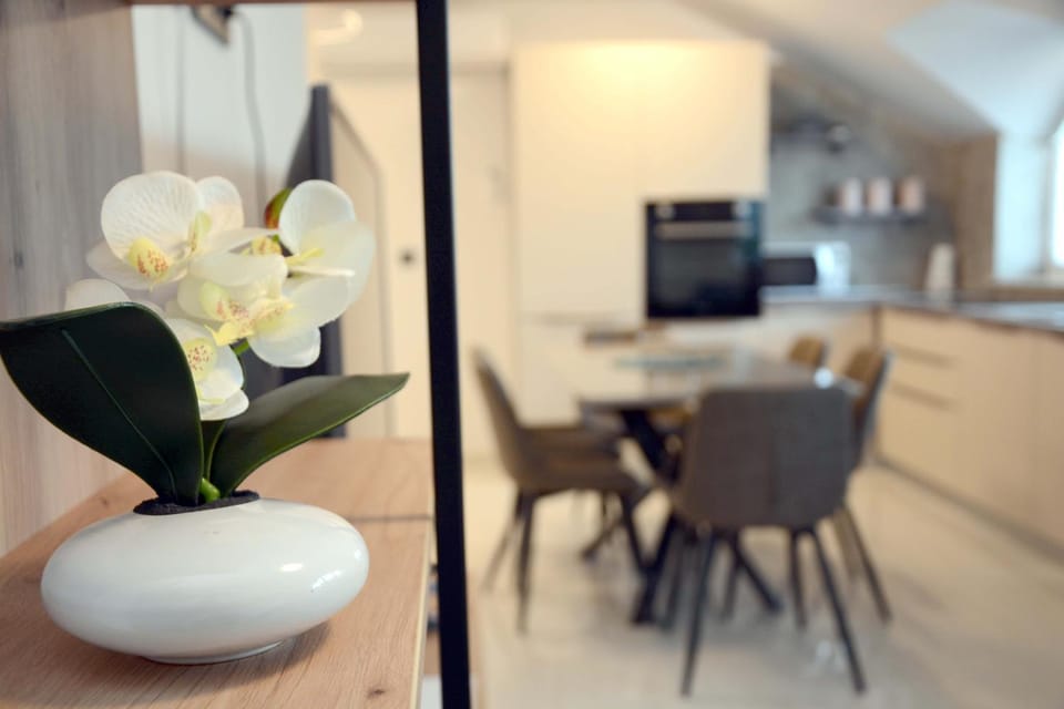 Apartmani Magić Apartment in Slovenia
