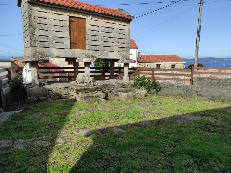 Patio, Garden