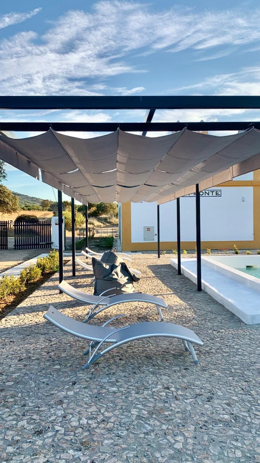 Patio, sunbed