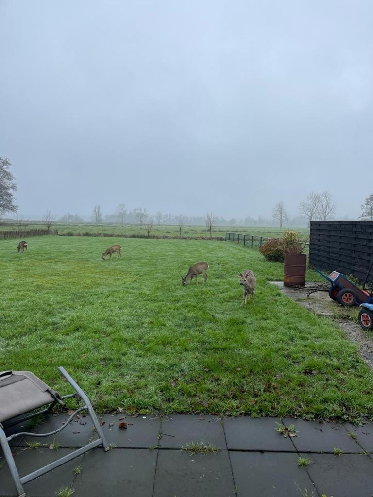 Natural landscape, Garden view