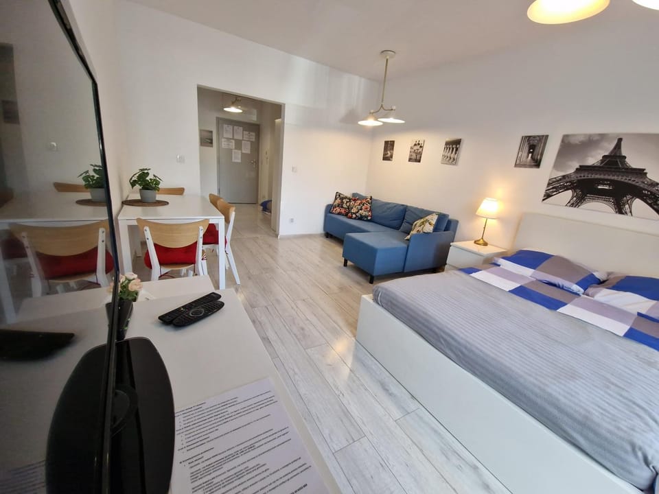 Bed, TV and multimedia, Photo of the whole room