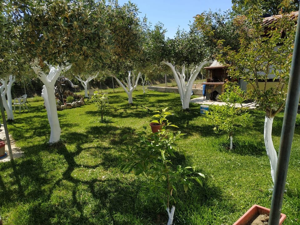 BBQ facilities, Garden