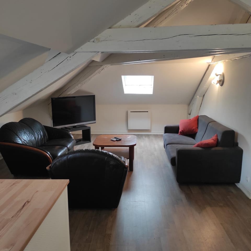 Grand T2 climatisé très calme Apartment in Nouvelle-Aquitaine