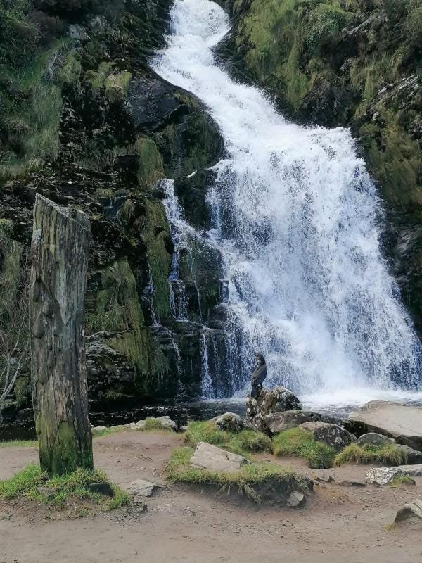 Natural landscape