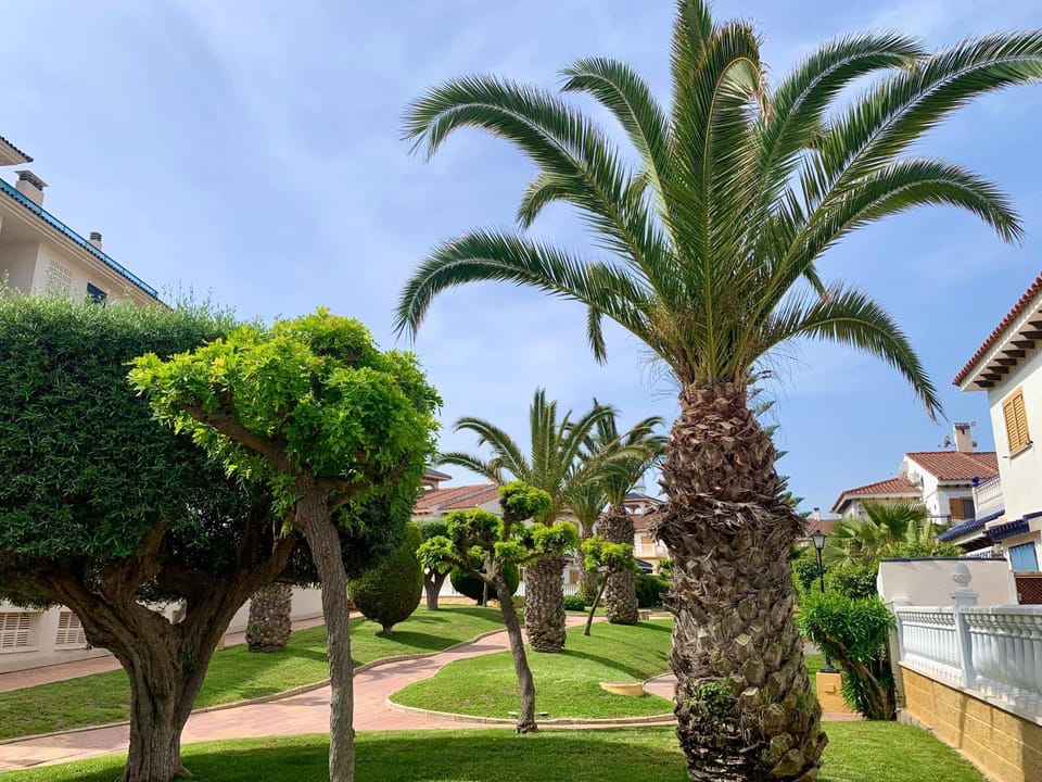 Garden, Garden view