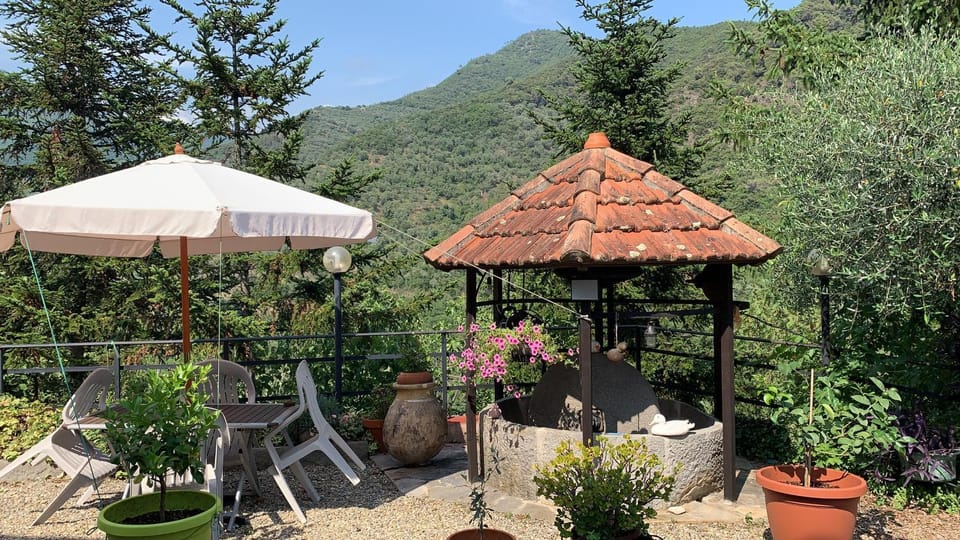 Garden, Garden view