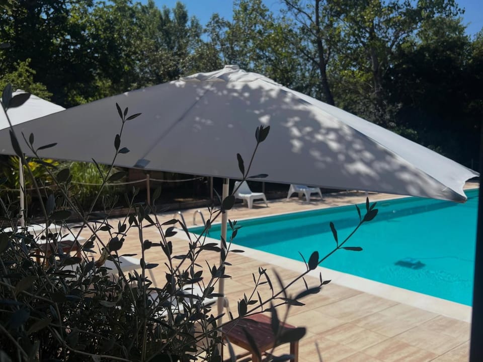 Garden, Garden view, Pool view, Swimming pool