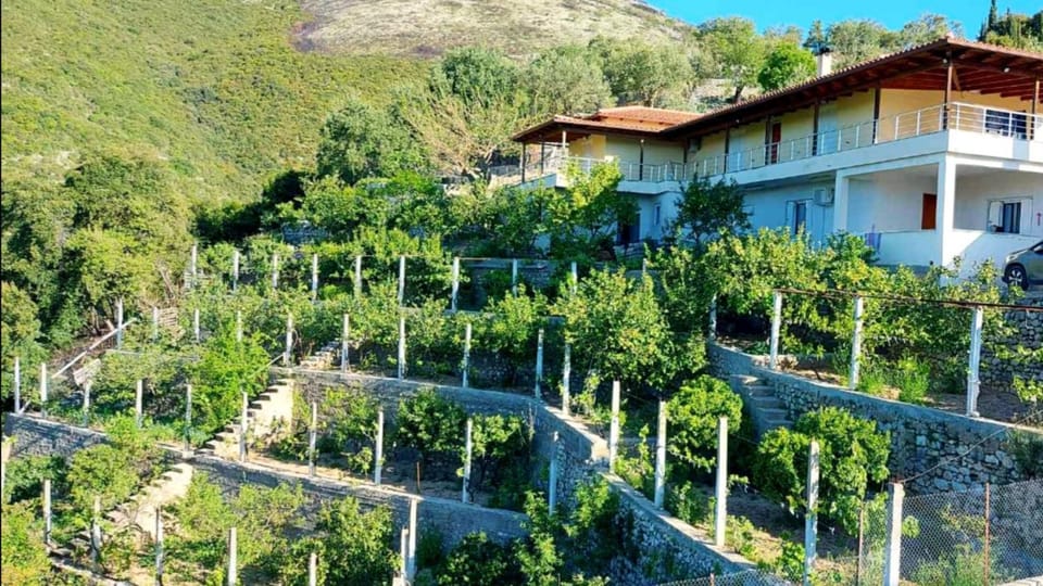 Garden view, Landmark view, Mountain view, Street view, Inner courtyard view