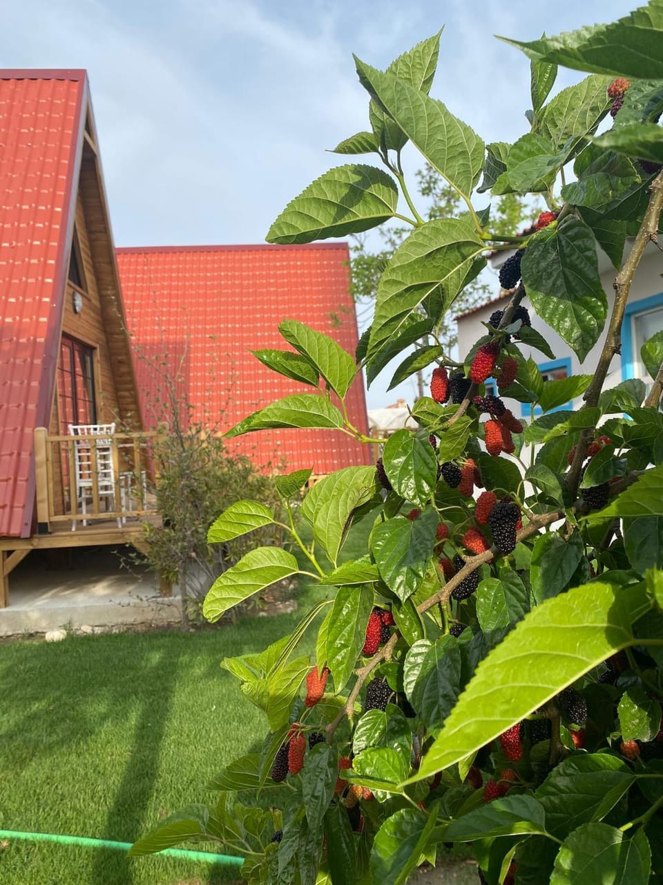 Property building, Garden