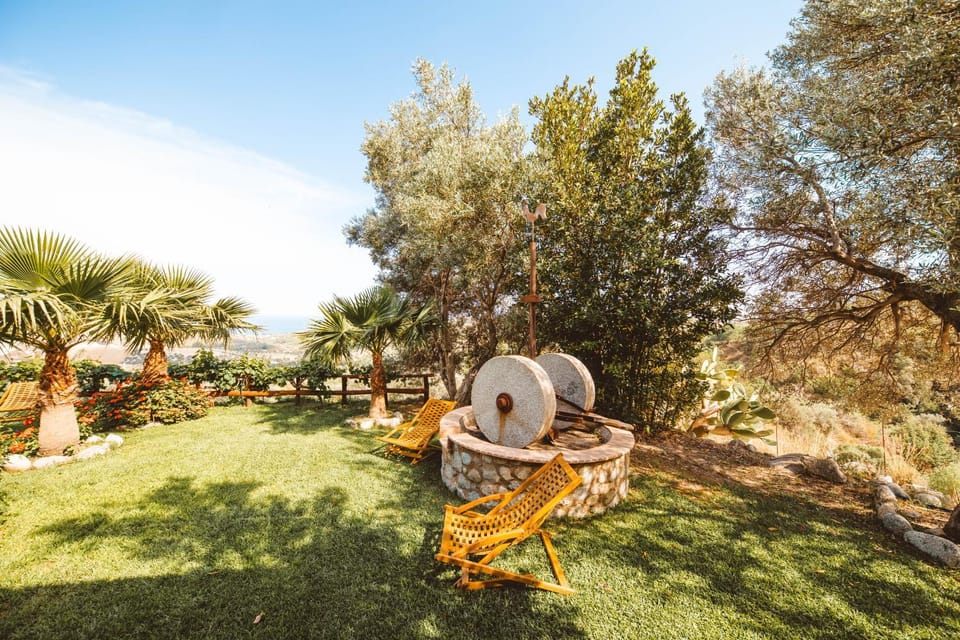 Spring, Day, Natural landscape, Garden, Garden view