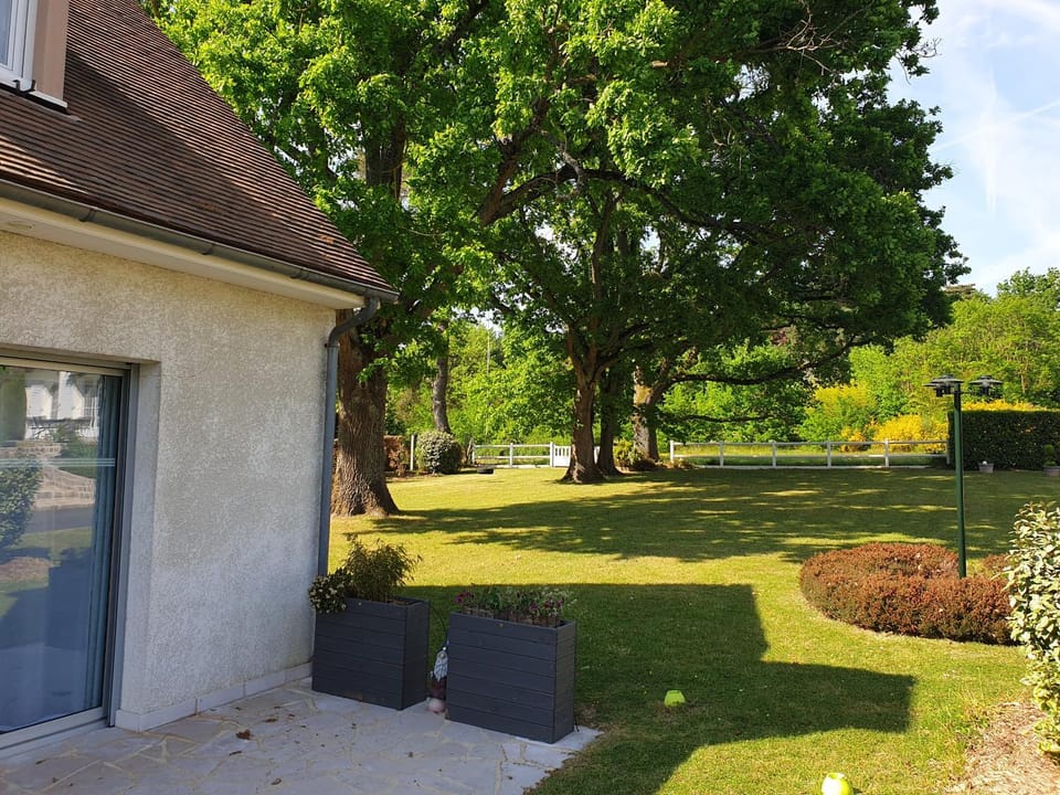 Garden view