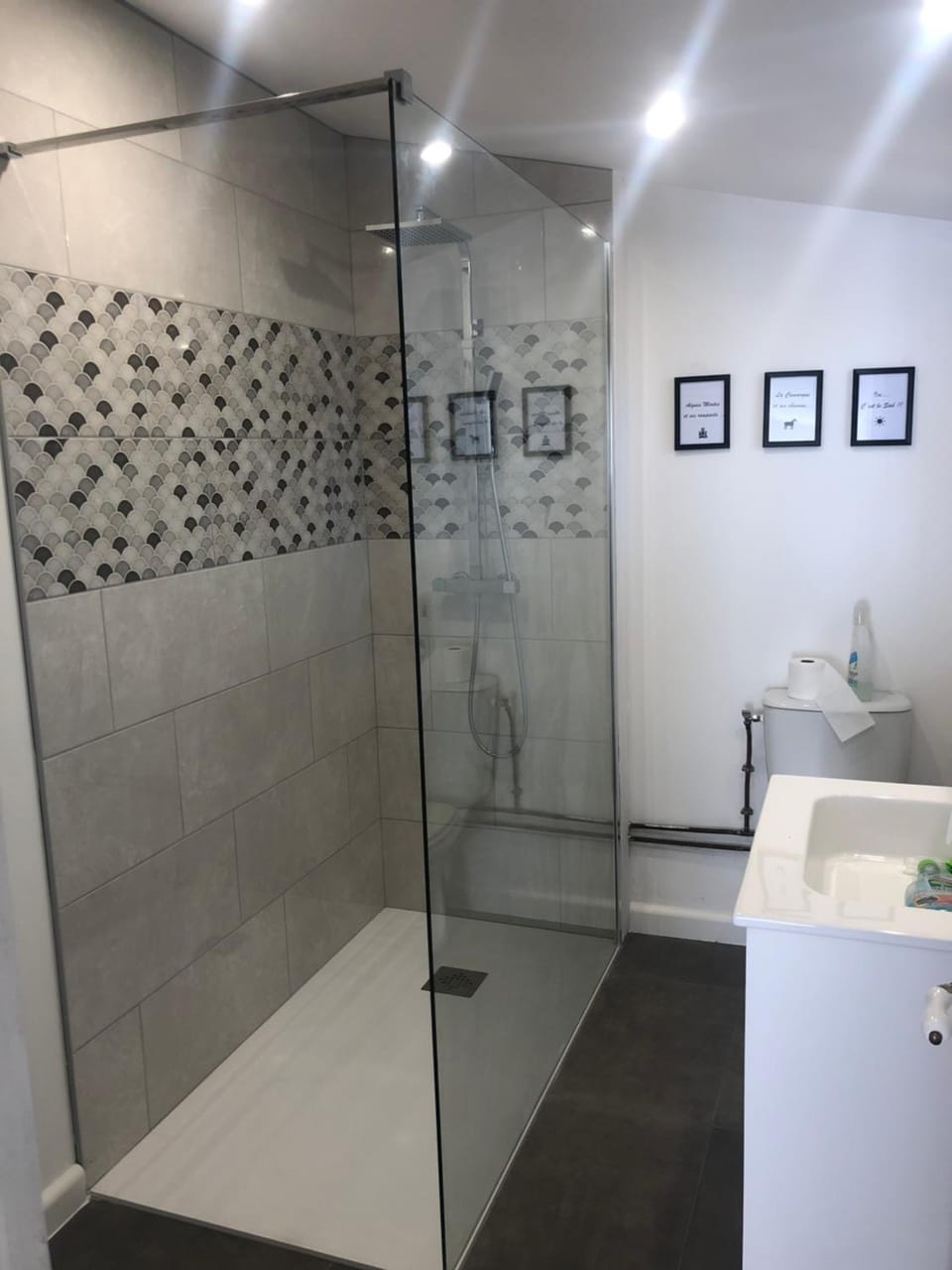 Studio refait à neuf avec jardin Aigues Mortes Apartment in Aigues-Mortes