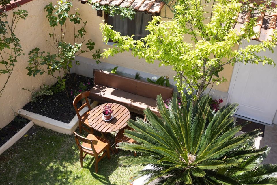 Spring, Garden, Garden view