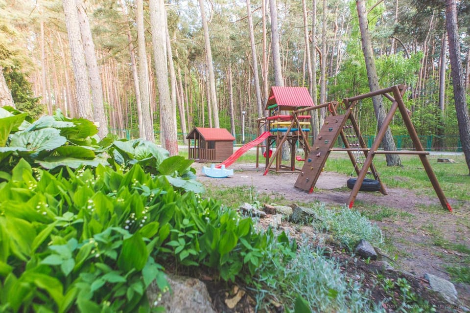 Children play ground