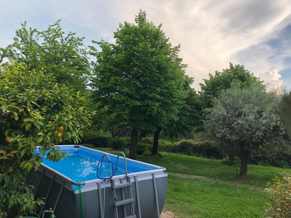 Garden, Swimming pool