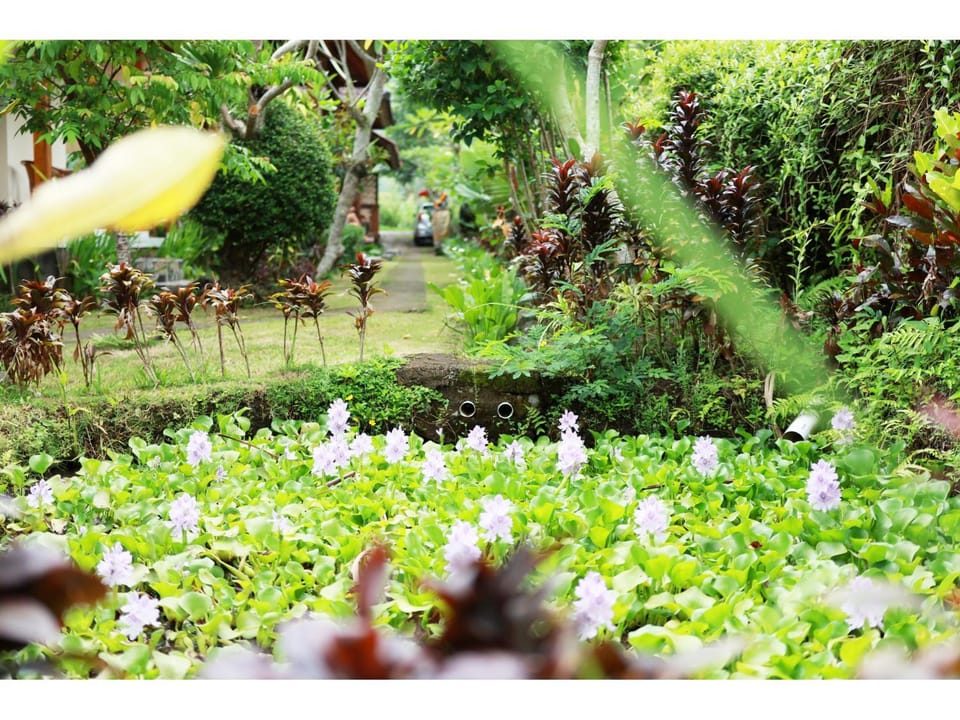 Natural landscape, Garden, View (from property/room), Garden view, Quiet street view, Inner courtyard view