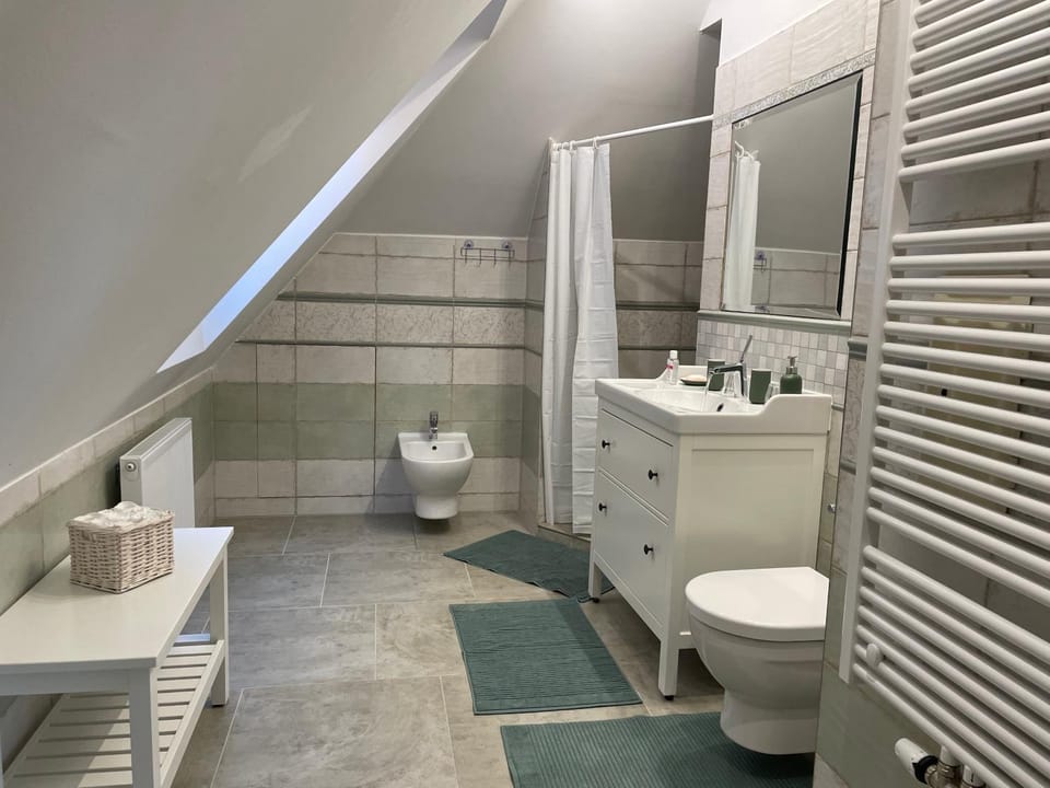 Shower, Toilet, Bathroom, bidet, towels