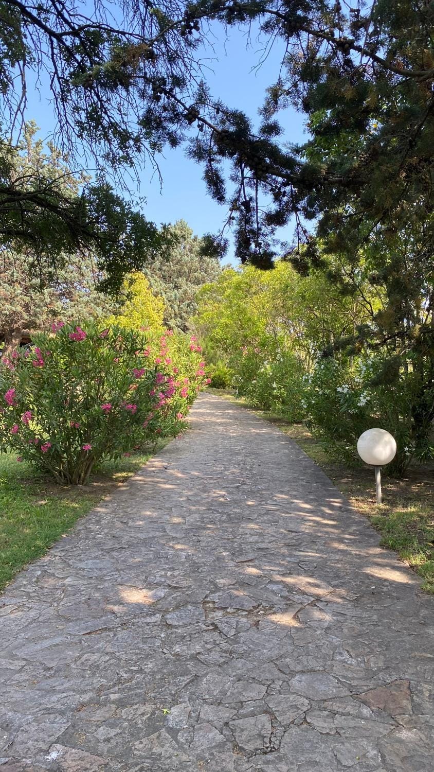 Villa San Marco chambre d hôtes Bed and Breakfast in Lorgues