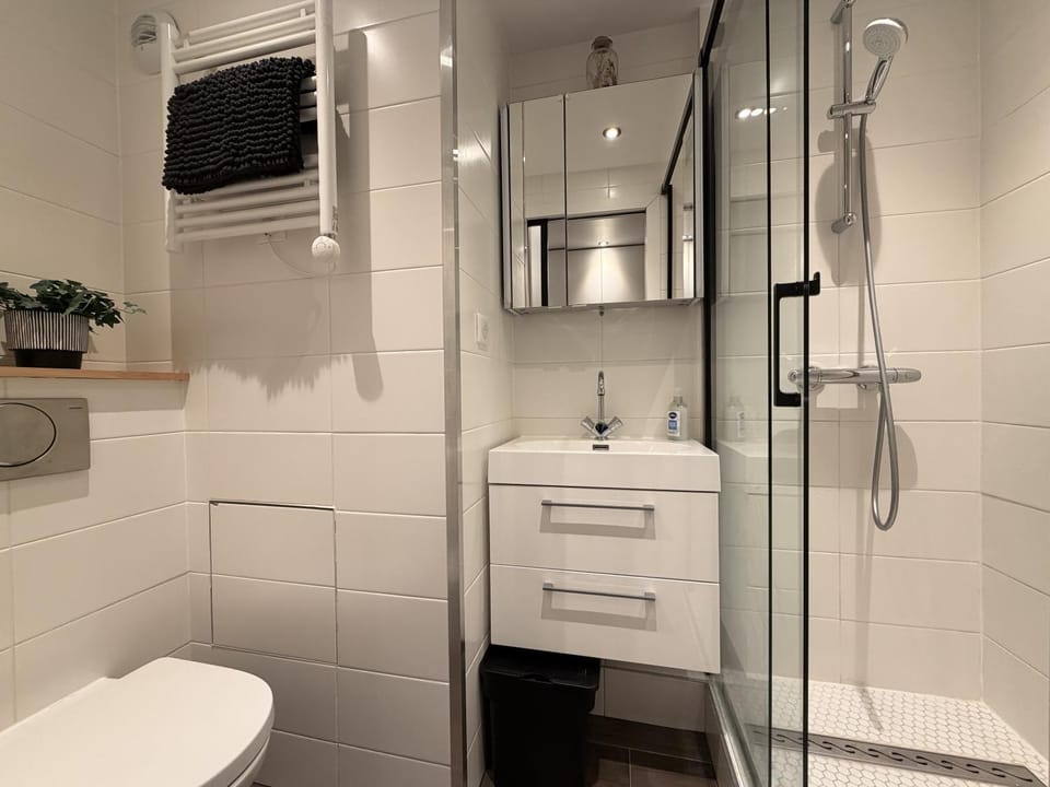 Shower, Toilet, Bathroom