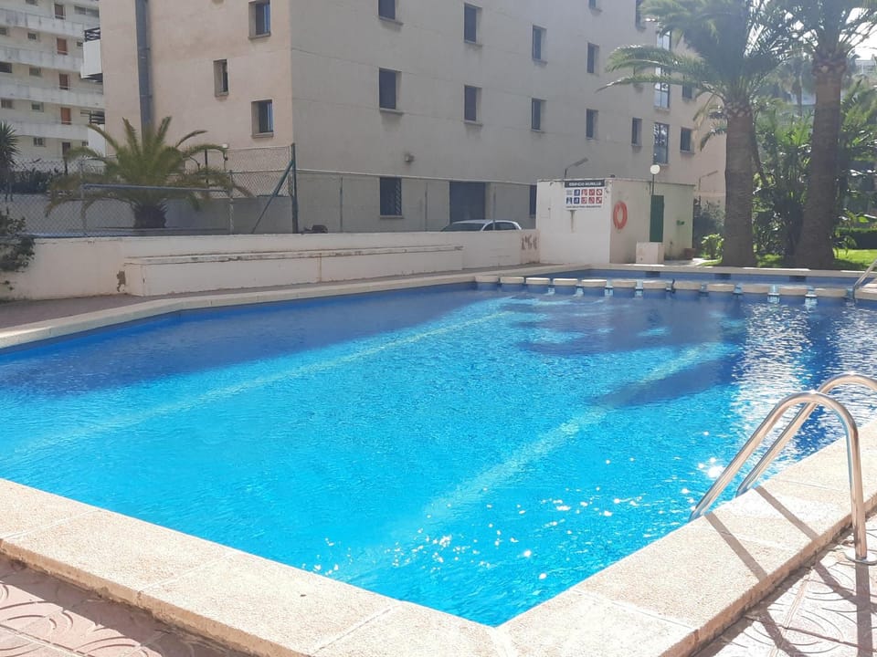 Swimming pool, Swimming pool