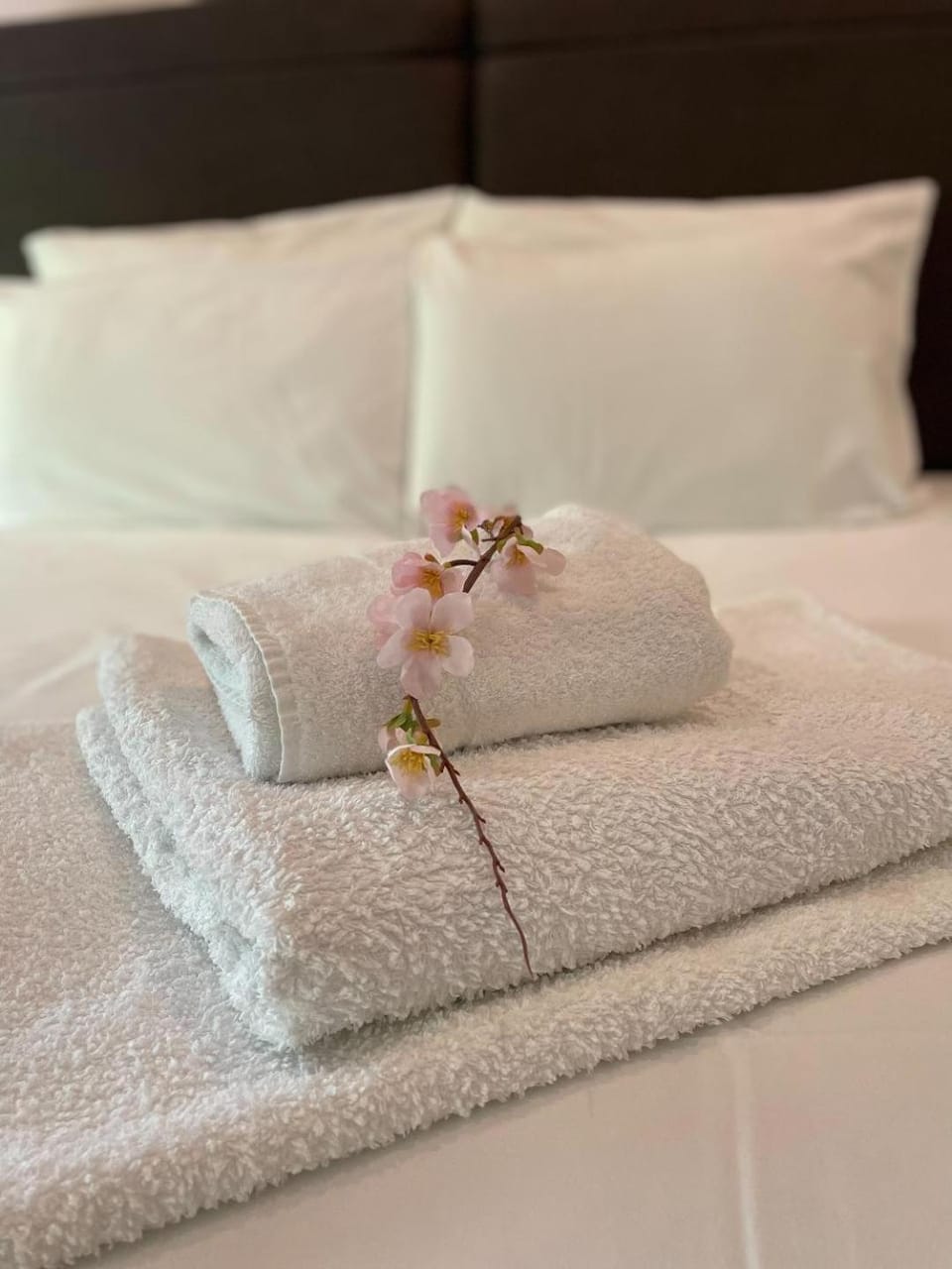 Bedroom, towels