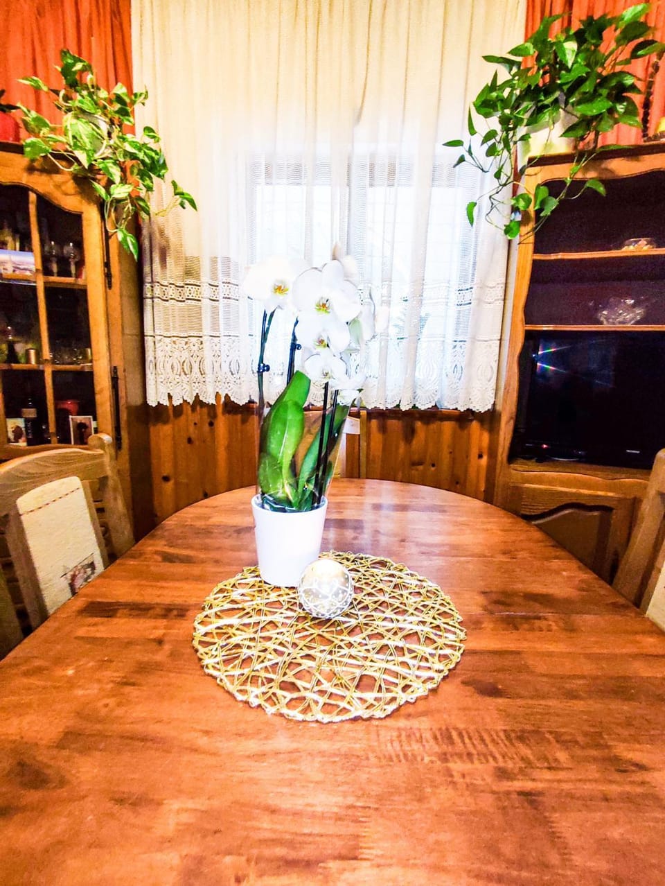 Apartmani Ankica Apartment in Crikvenica