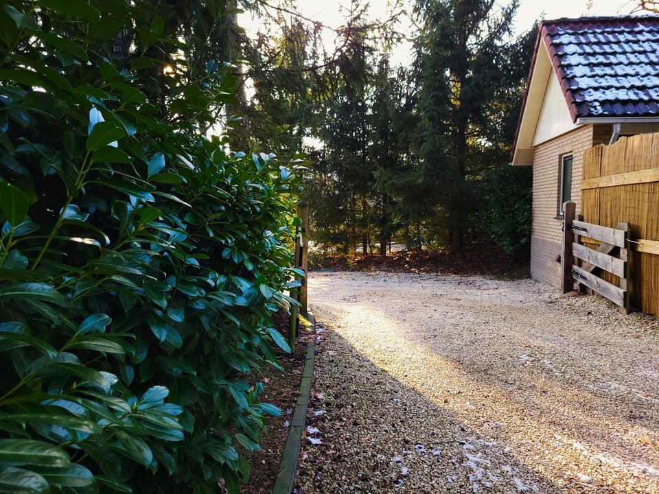 Spring, Day, Garden, Garden view