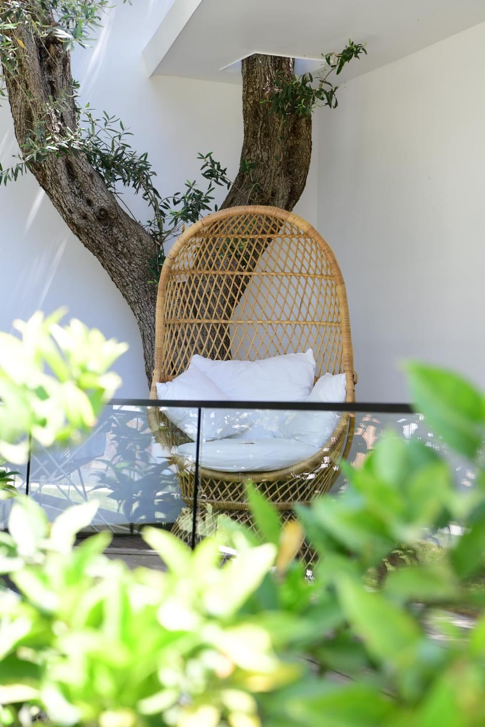 Balcony/Terrace, Garden view