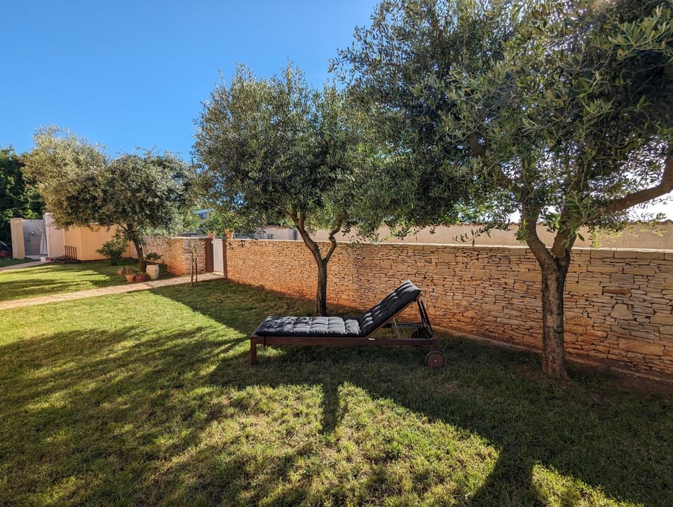 Natural landscape, Garden, sunbed