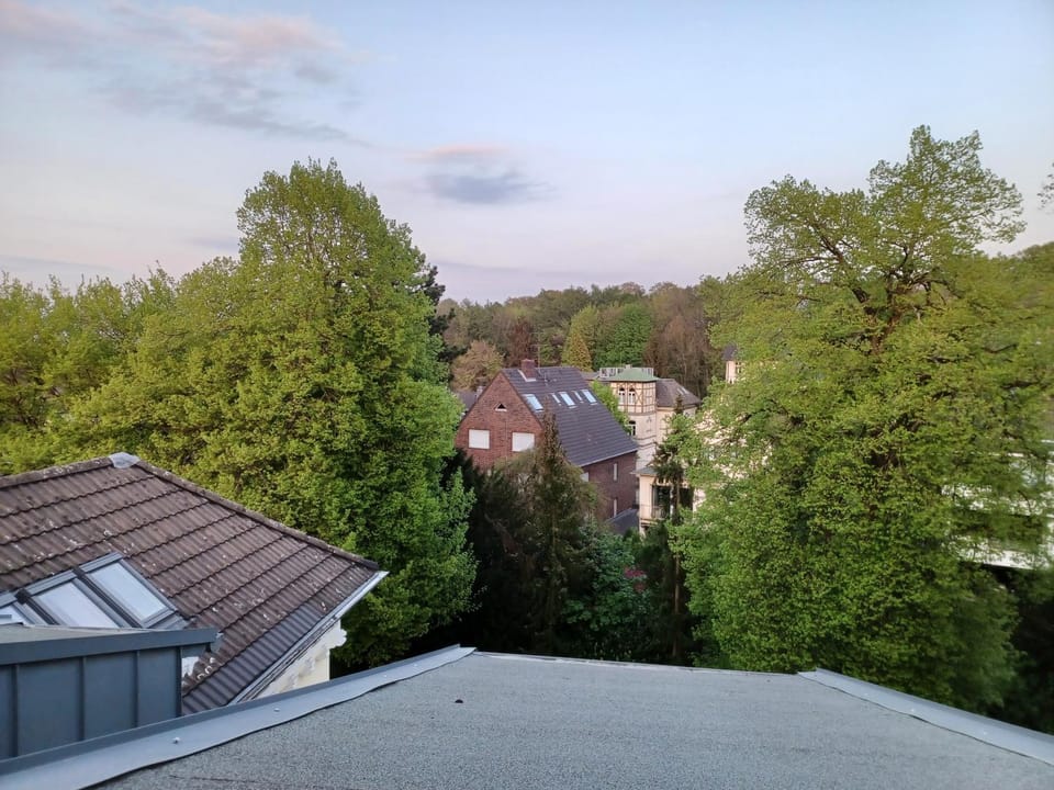 Neighbourhood, City view, Garden view