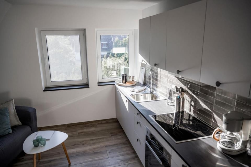 Kitchen or kitchenette, kitchen