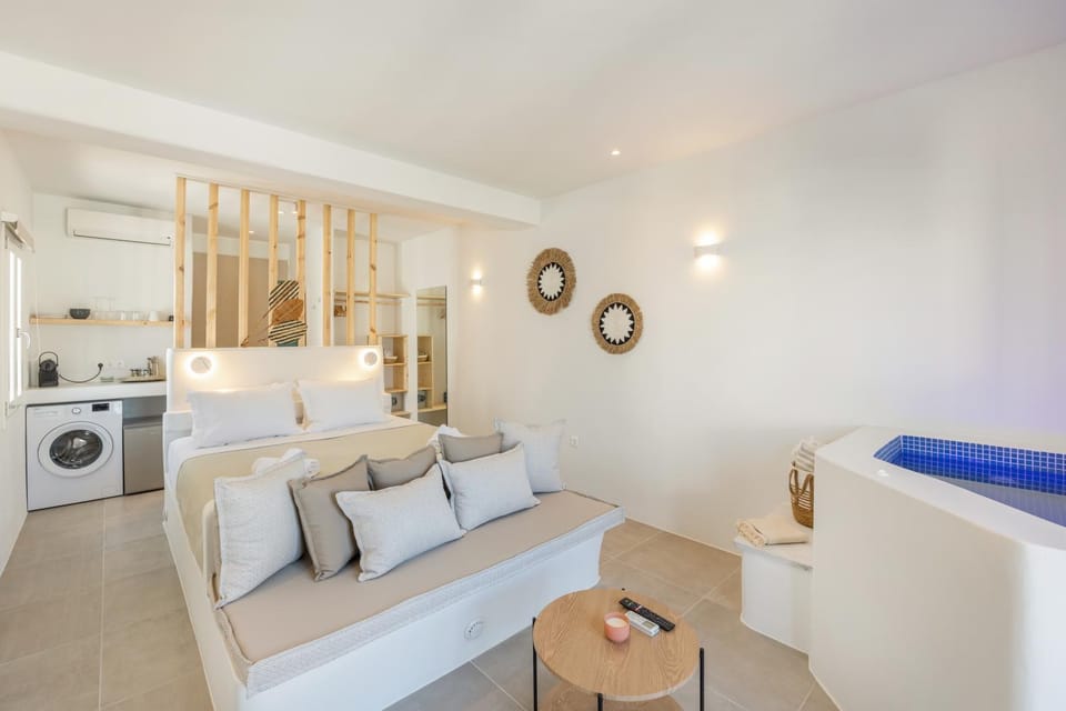 Bed, Hot Tub, Living room, Photo of the whole room, Seating area, Bedroom, washing machine