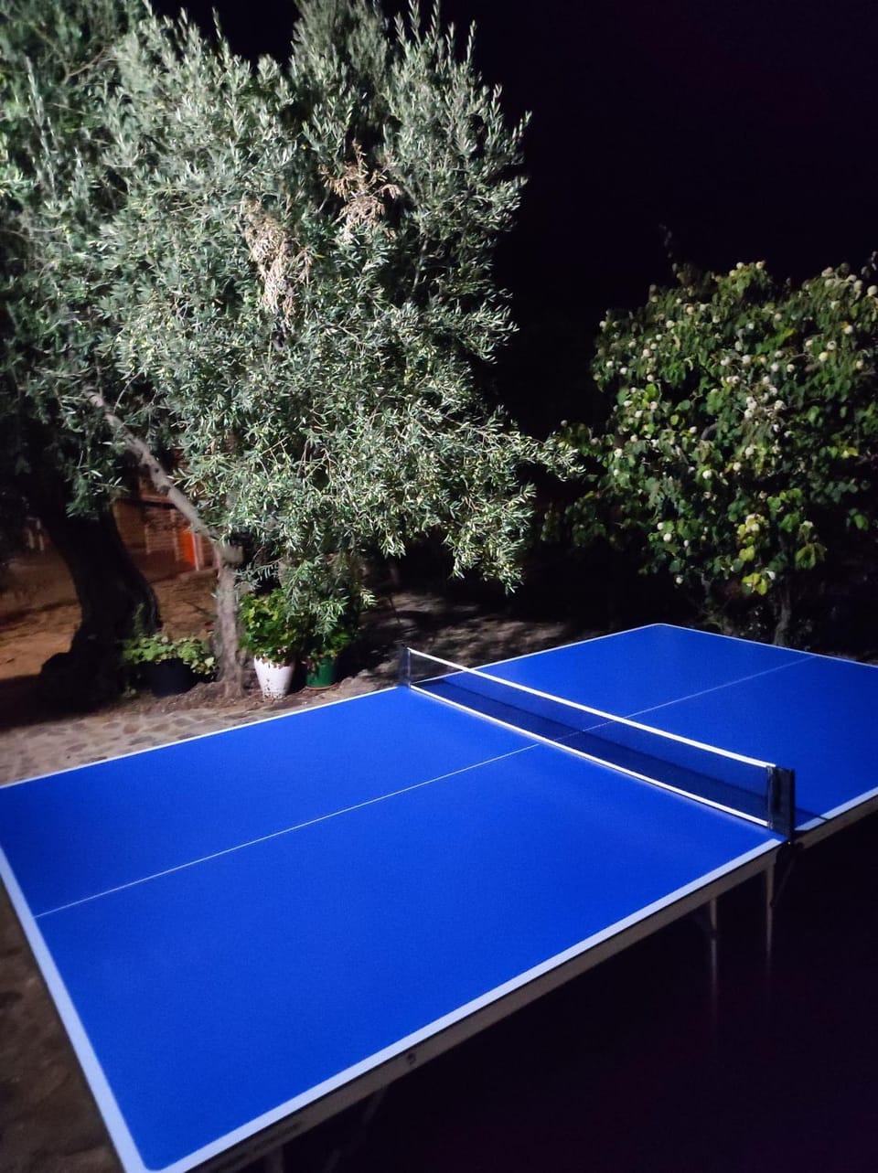 Table tennis