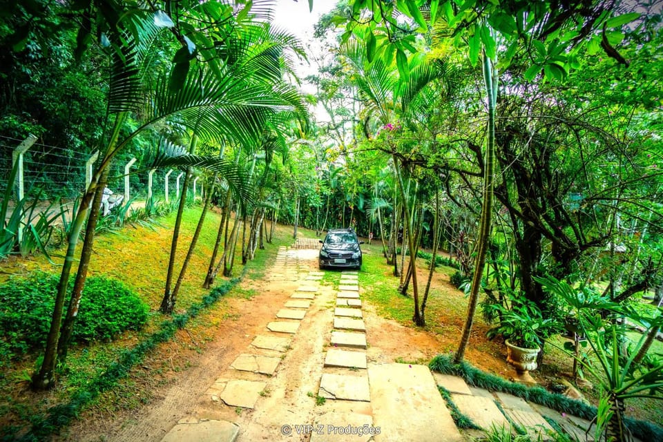 Spring, Day, Natural landscape, Garden, Garden view, Parking
