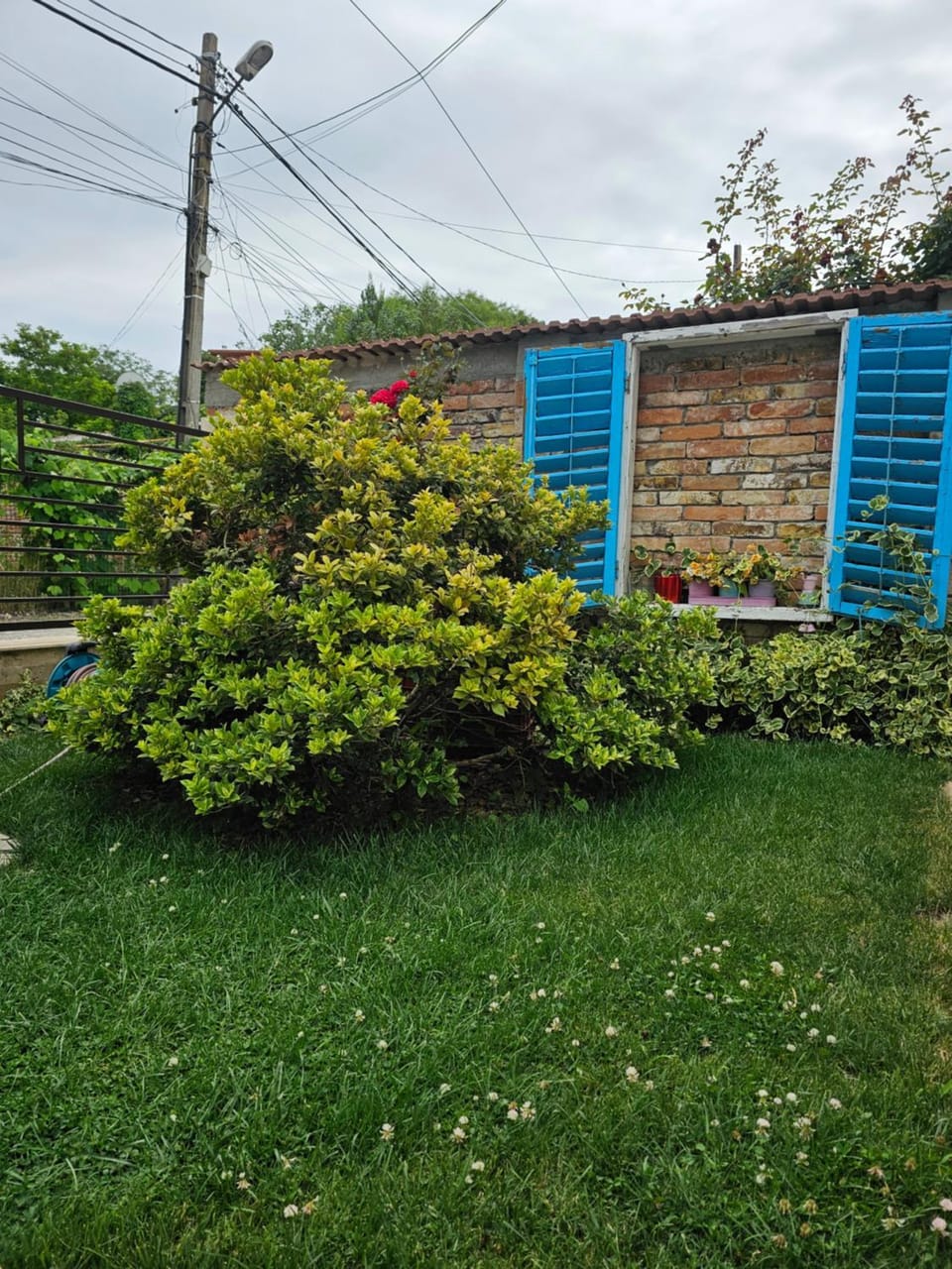 Day, Garden