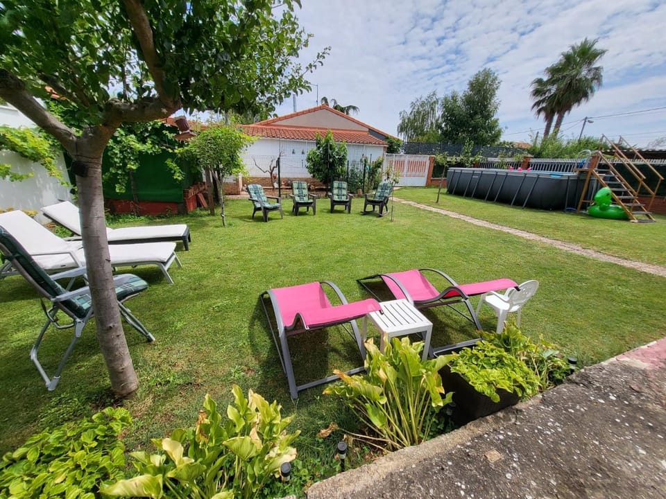Garden, Garden view, Swimming pool, sunbed