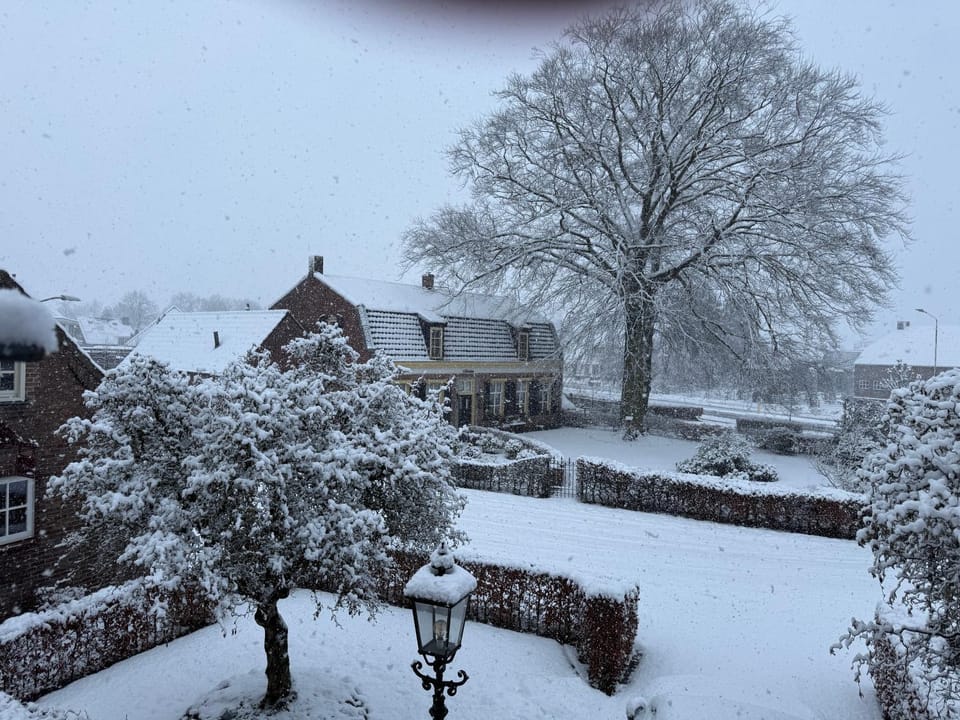 Winter