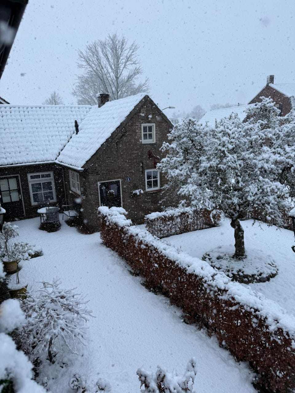 Property building, Winter