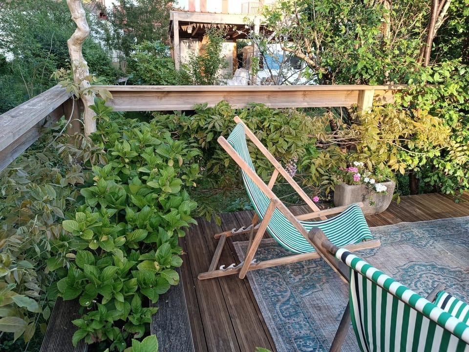 Patio, Garden view, sunbed