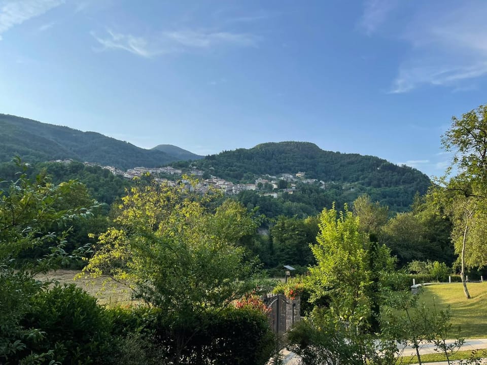 View (from property/room)