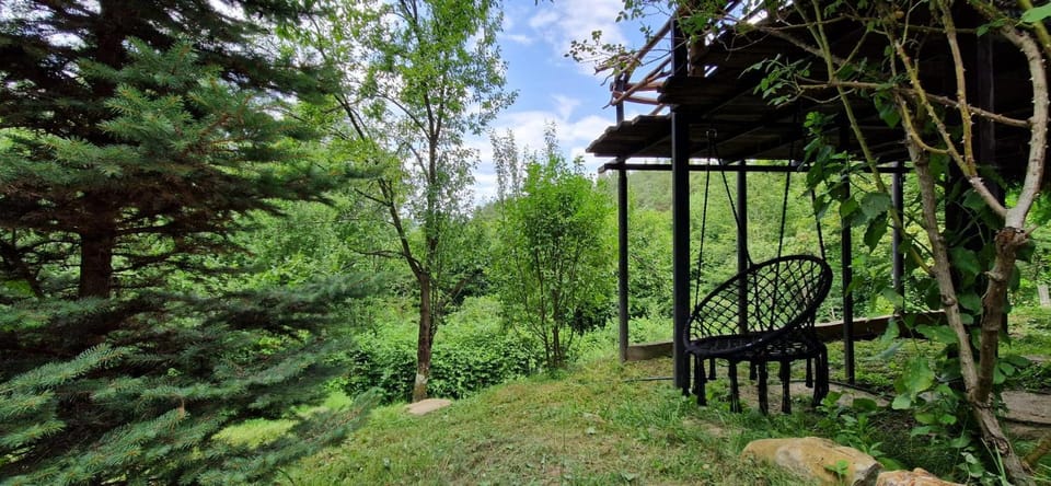 Mystically Wood House in The Forest Chalet in Prahova, Romania